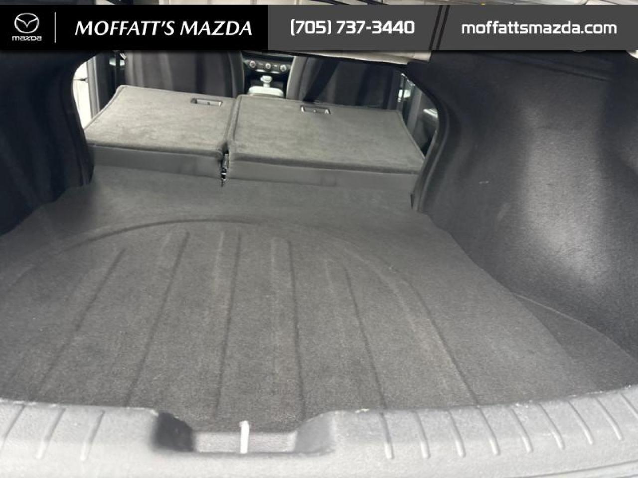 2022 Kia Forte EX Photo