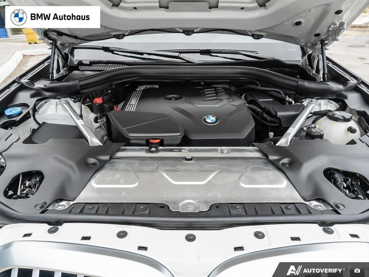 2024 BMW X3 xDrive30i Sports Activity Vehicle Photo