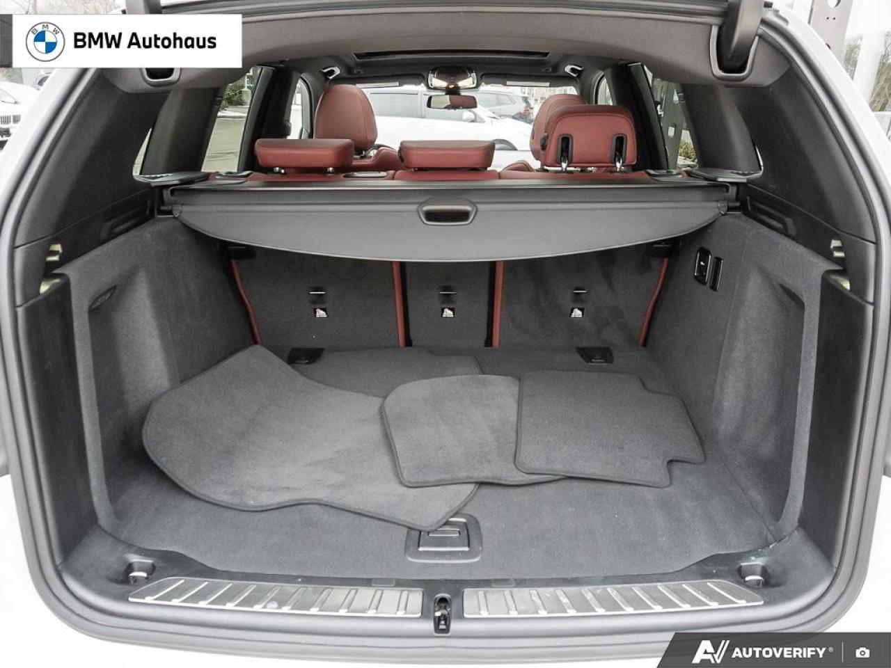 2024 BMW X3 xDrive30i Sports Activity Vehicle Photo