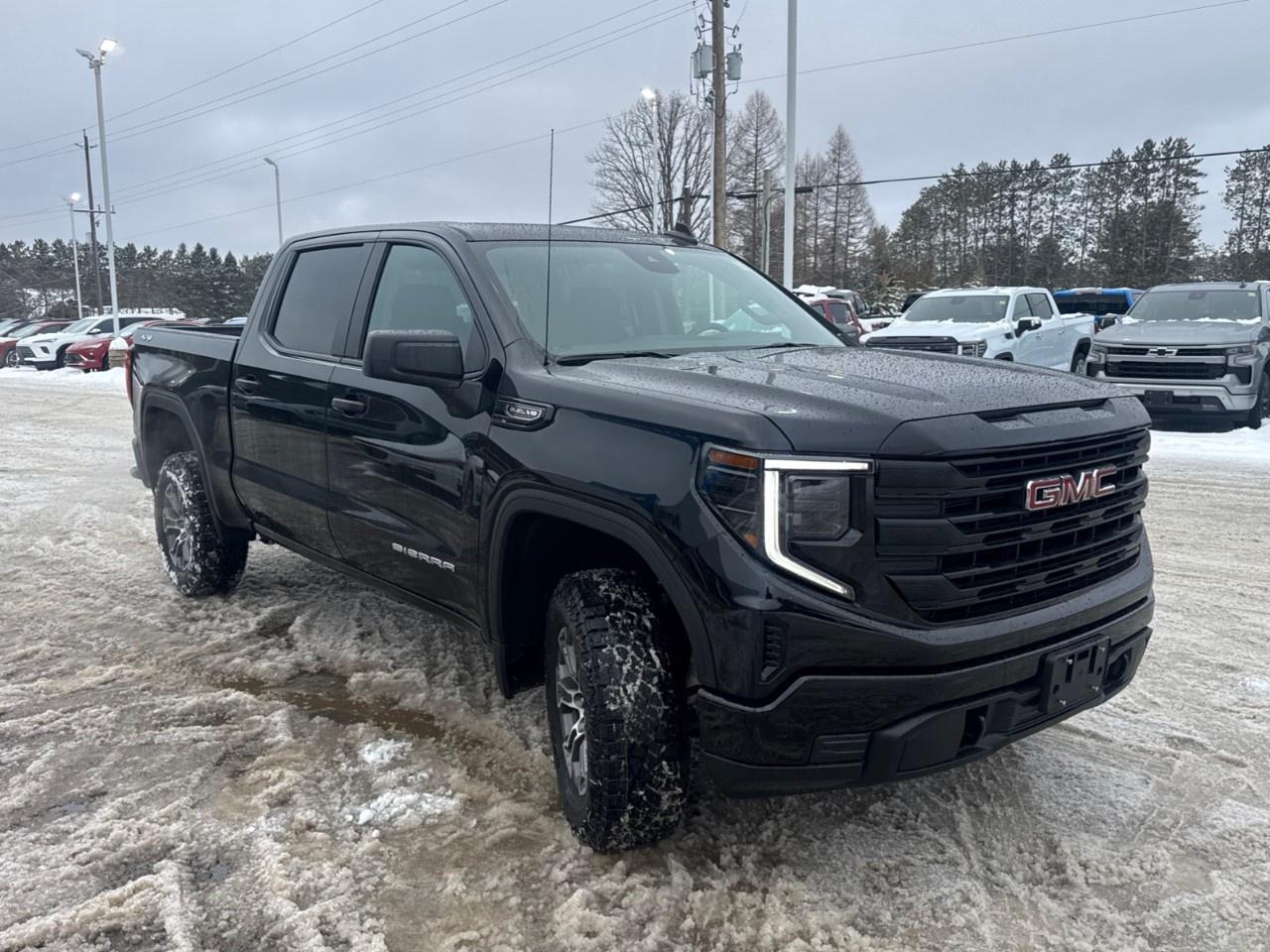 2026 GMC Sierra 1500 Crew Cab Short Box 4-Wheel Drive Pro Photo2