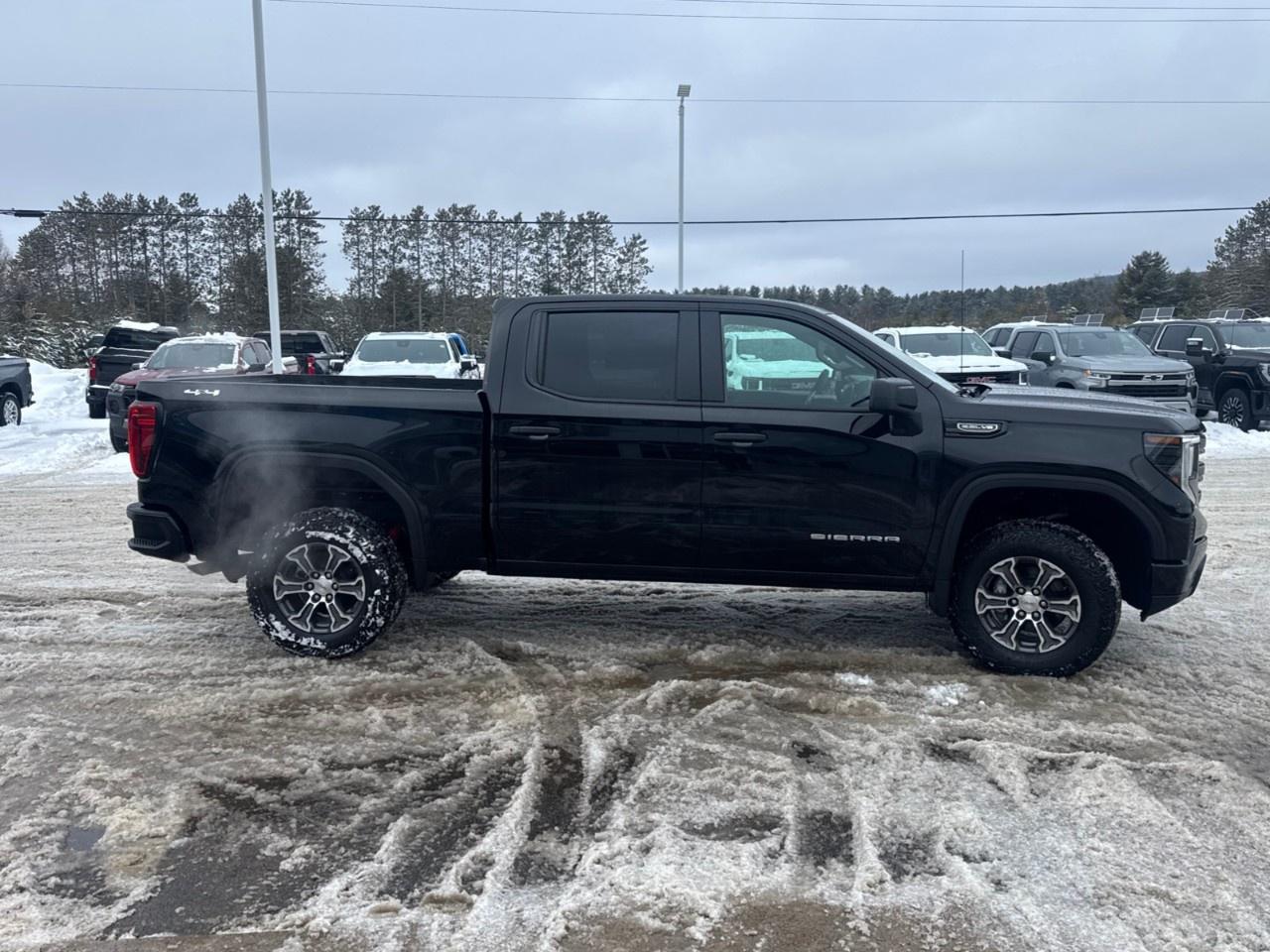 2026 GMC Sierra 1500 Crew Cab Short Box 4-Wheel Drive Pro Photo3