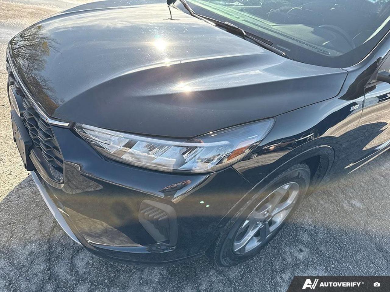 2023 Ford Escape ST-Line 4dr All-Wheel Drive Photo