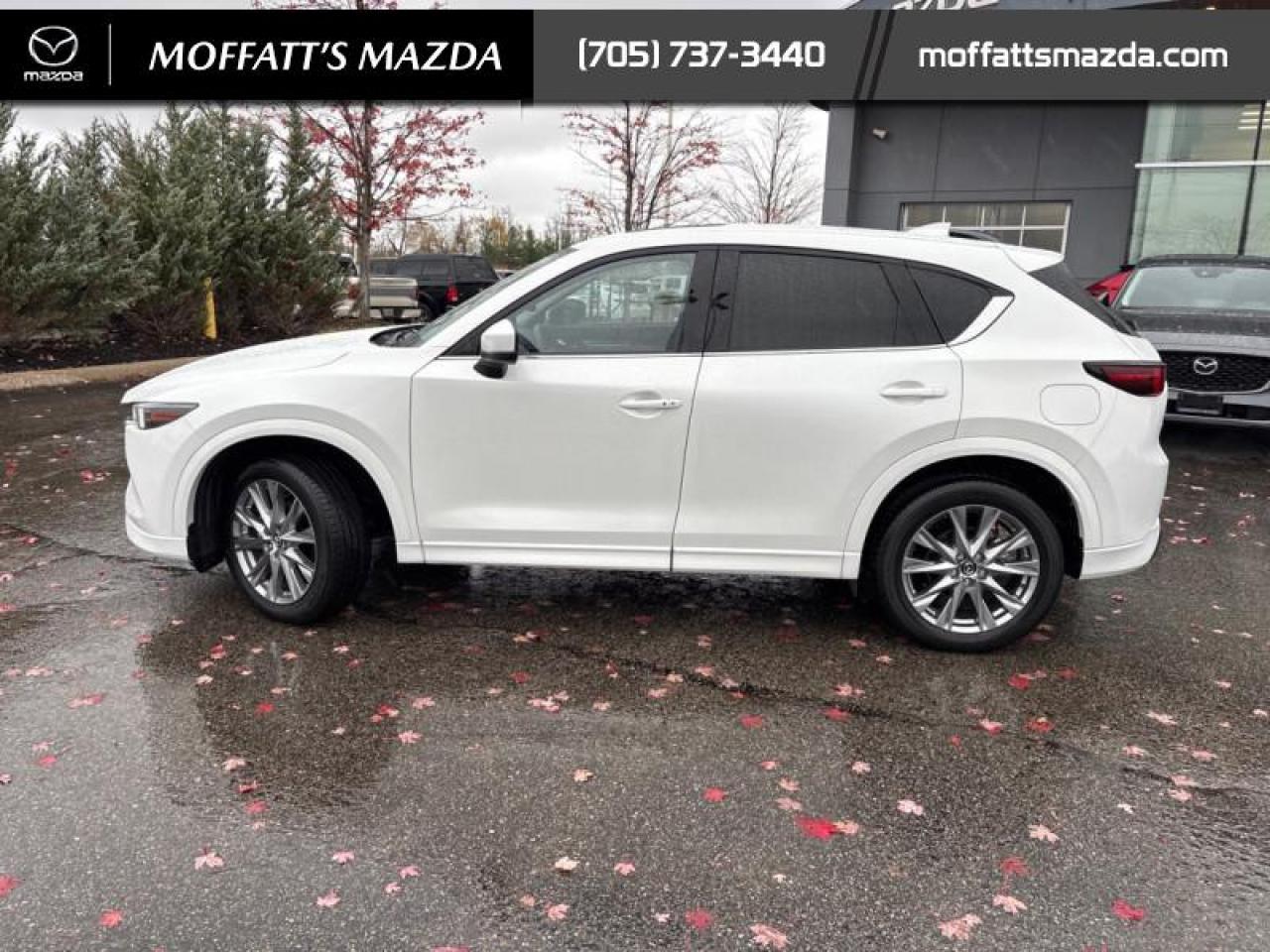 2025 Mazda CX-5 GT Photo