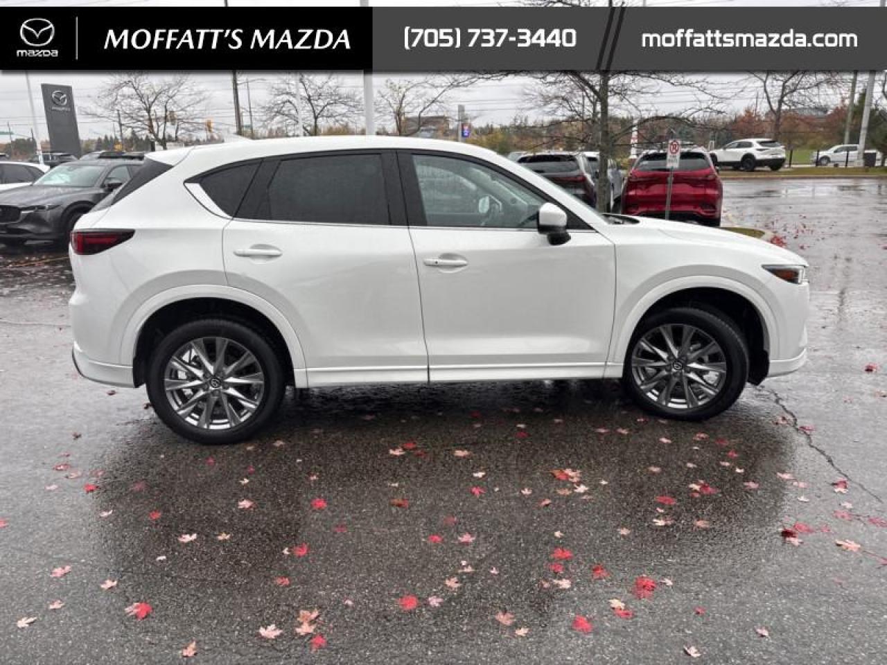 2025 Mazda CX-5 GT Photo