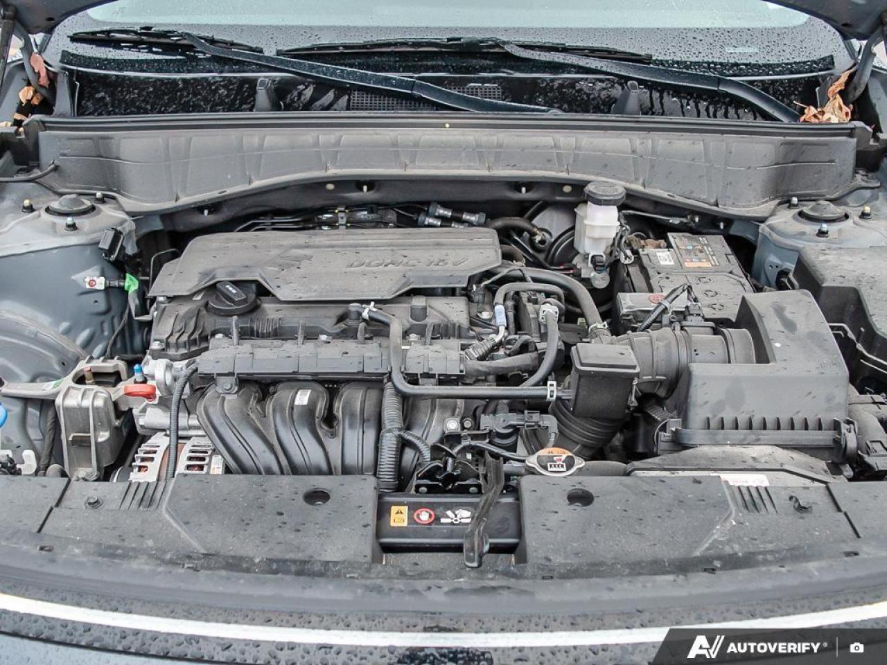 2024 Hyundai KONA 2.0L Essential 4dr Front-Wheel Drive Photo