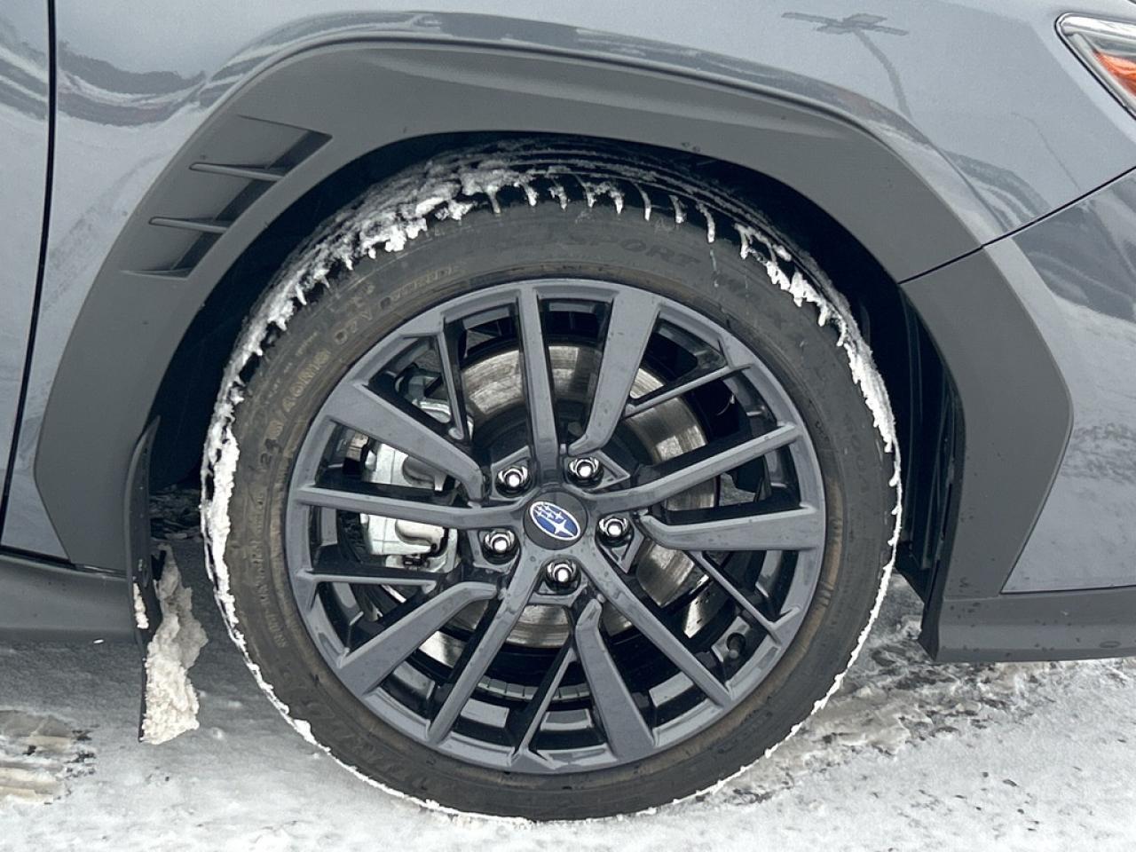 2025 Subaru WRX Sport (M6) 4dr All-Wheel Drive Sedan Photo