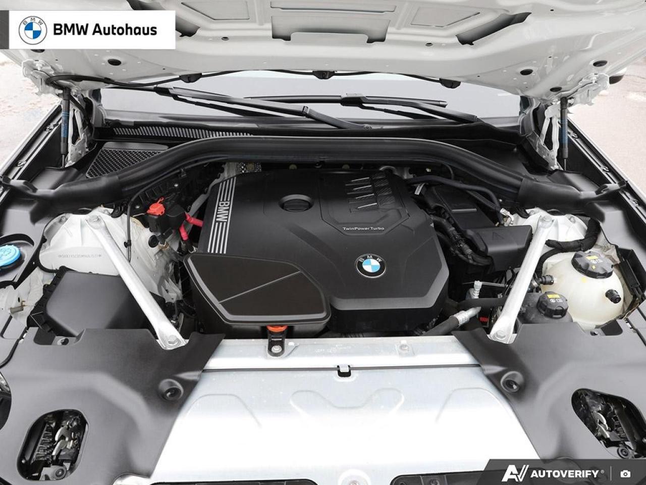 2021 BMW X3 xDrive30i Sports Activity Vehicle Photo