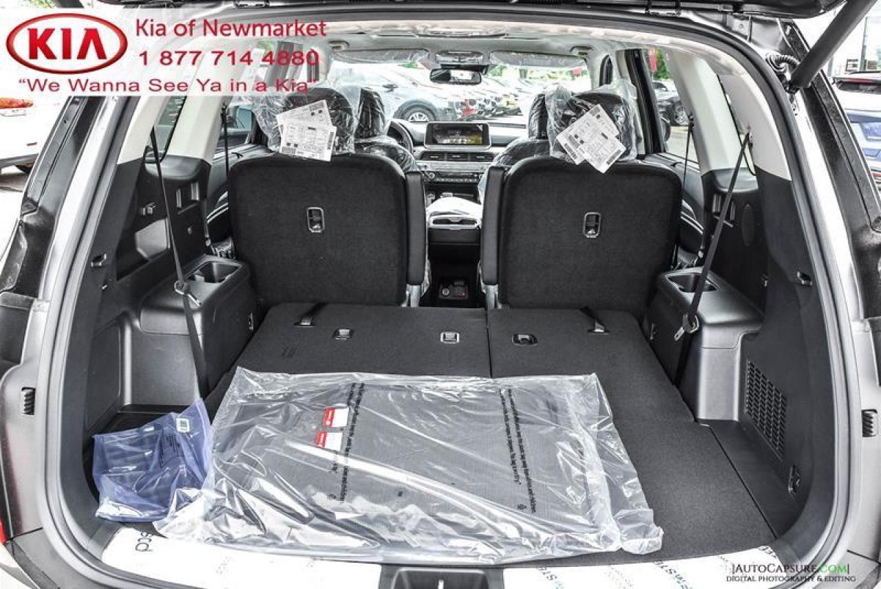 2021 Kia Telluride SX Limited 4dr All-Wheel Drive Photo