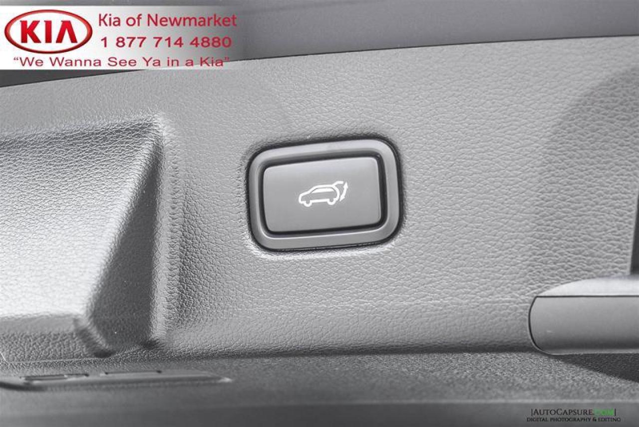 2021 Kia Telluride SX Limited 4dr All-Wheel Drive Photo