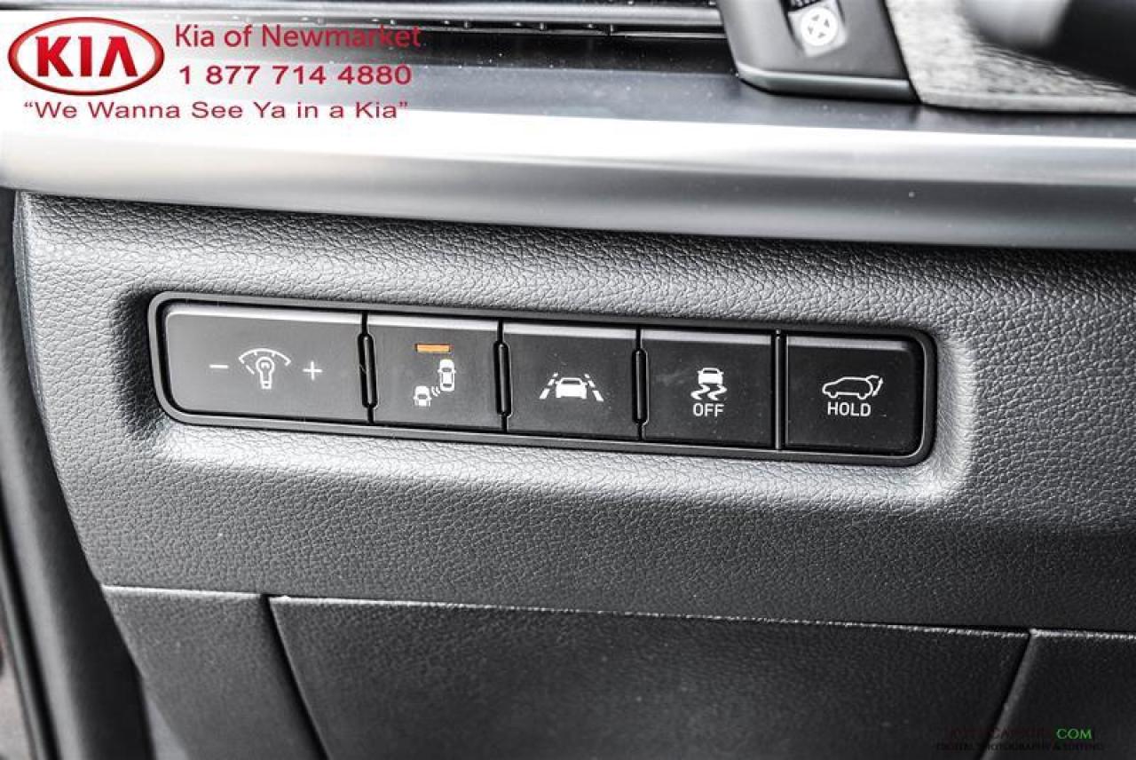 2021 Kia Telluride SX Limited 4dr All-Wheel Drive Photo