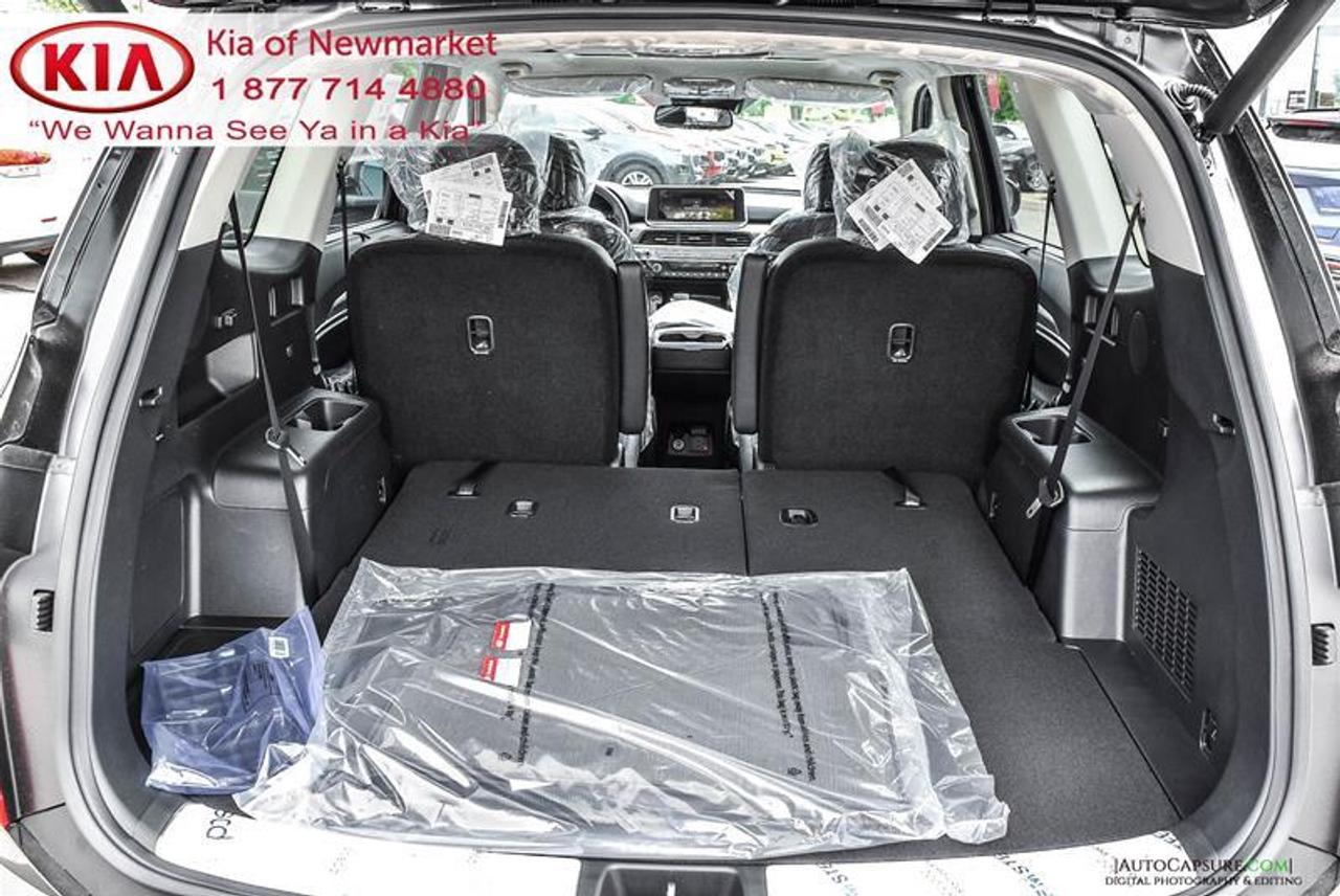 2021 Kia Telluride SX Limited 4dr All-Wheel Drive Photo