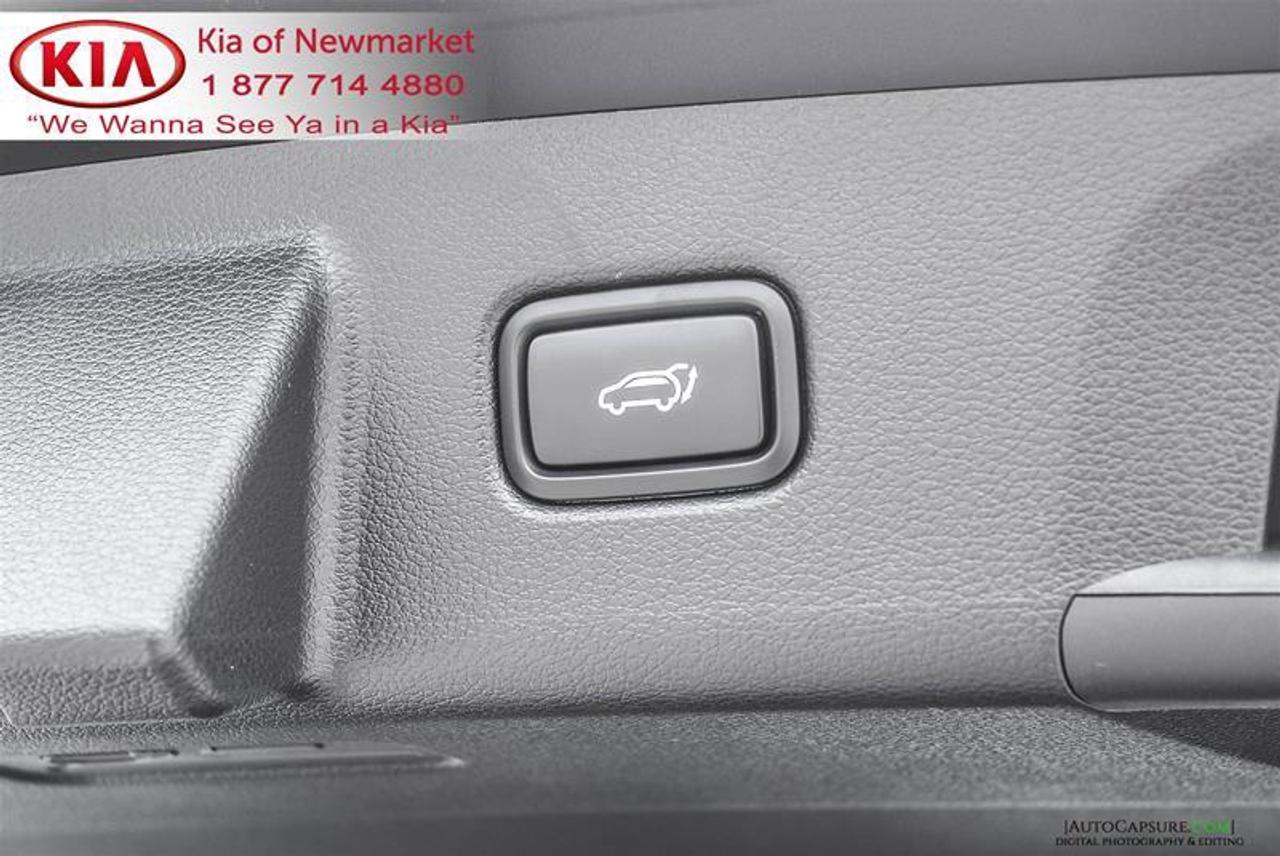 2021 Kia Telluride SX Limited 4dr All-Wheel Drive Photo