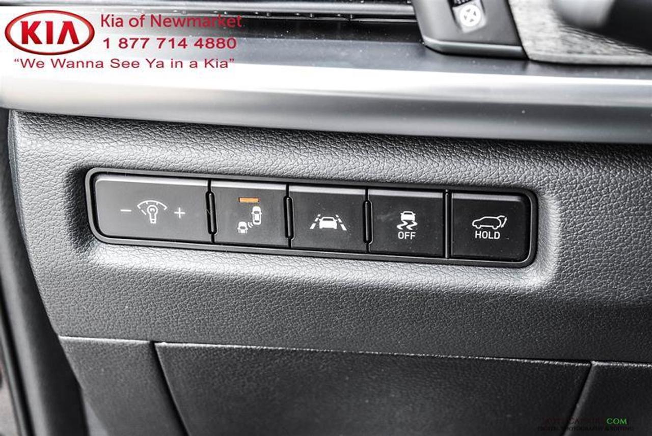 2021 Kia Telluride SX Limited 4dr All-Wheel Drive Photo