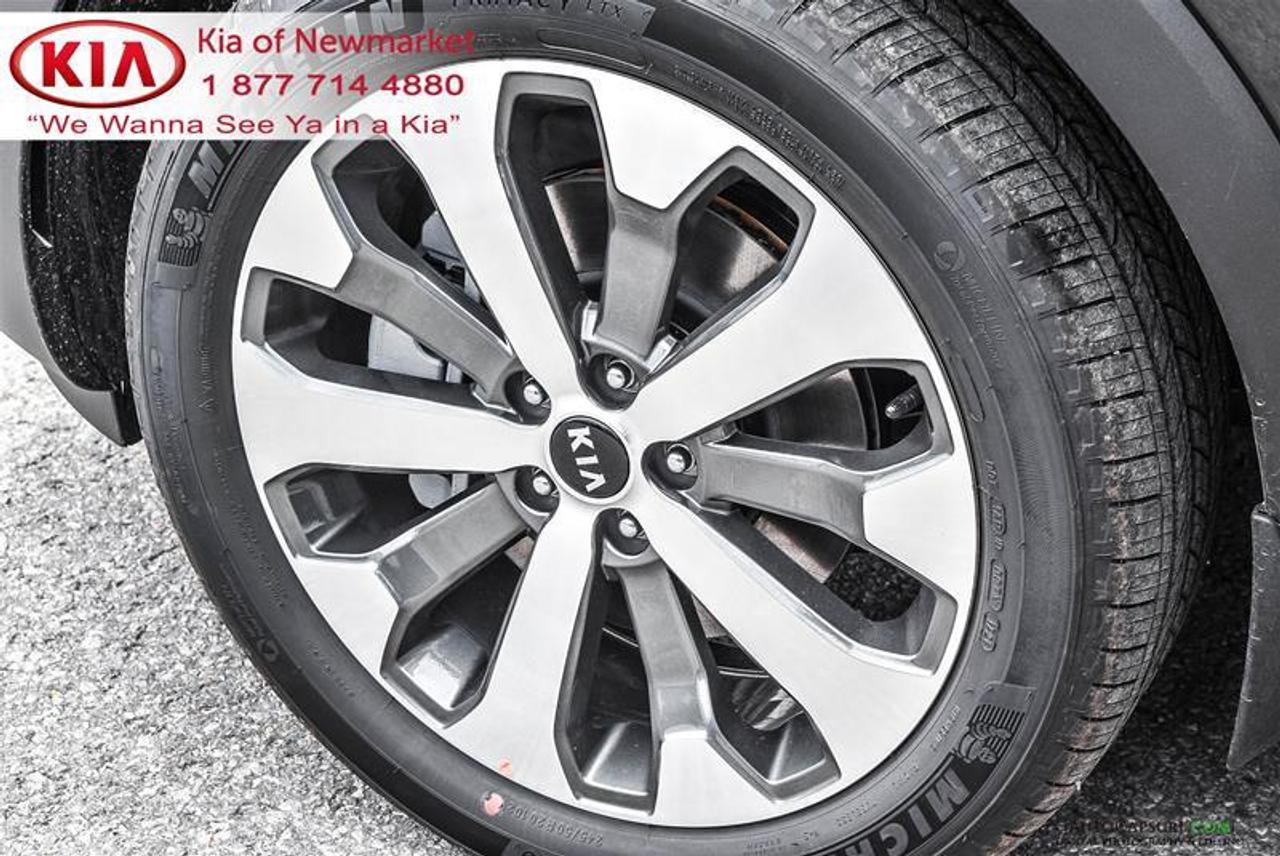 2021 Kia Telluride SX Limited 4dr All-Wheel Drive Photo