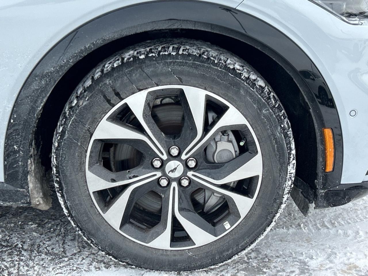 2023 Ford Mustang Mach-E Premium 4dr All-Wheel Drive Photo