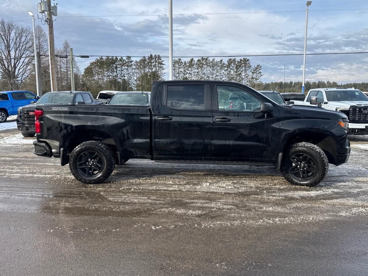 2026 Chevrolet Silverado 1500 Crew Cab Standard Box 4-Wheel Drive Custom Trail Boss Photo