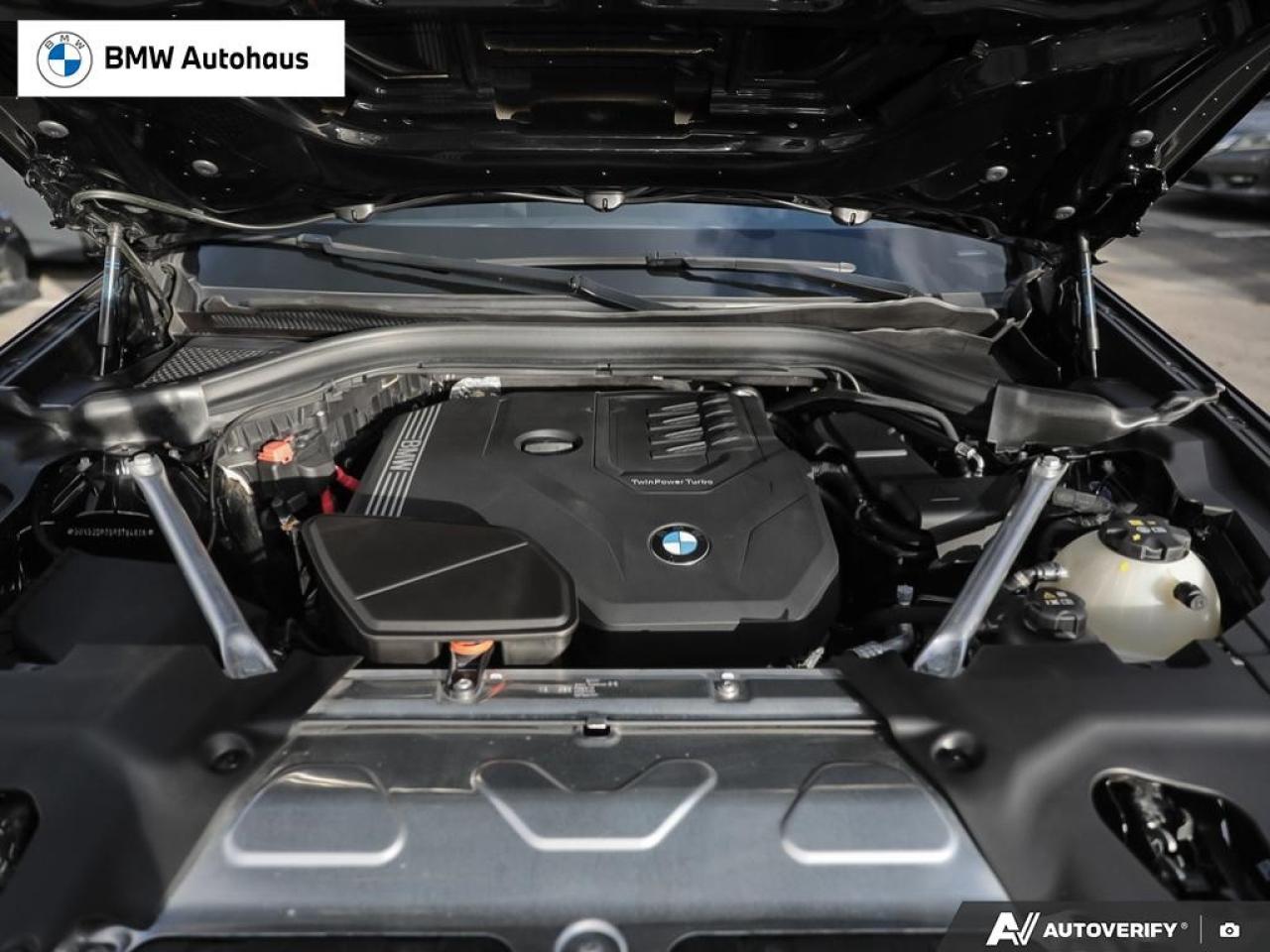 2024 BMW X3 xDrive30i Sports Activity Vehicle Photo