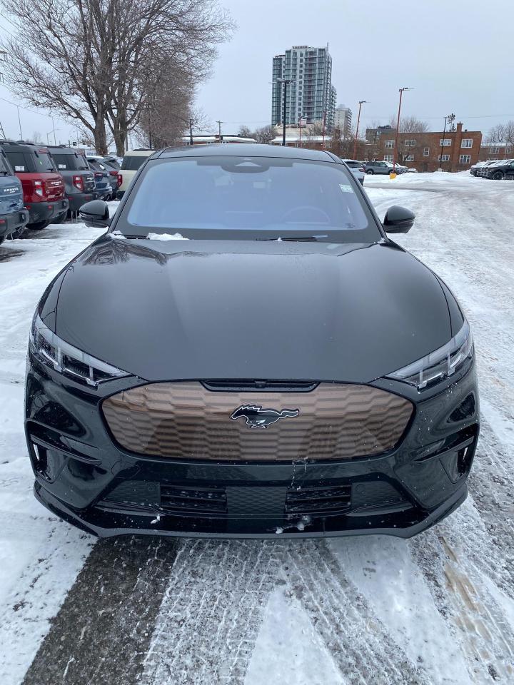 2025 Ford Mustang Mach-E GT 4dr All-Wheel Drive Photo2