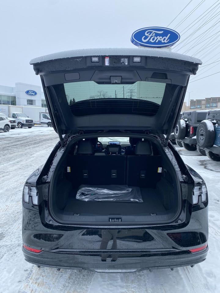 2025 Ford Mustang Mach-E GT 4dr All-Wheel Drive Photo