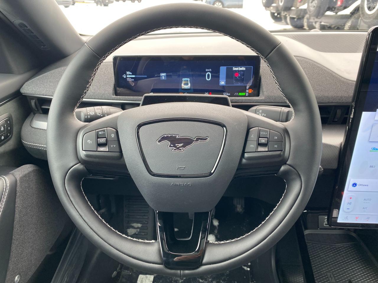 2025 Ford Mustang Mach-E GT 4dr All-Wheel Drive Photo