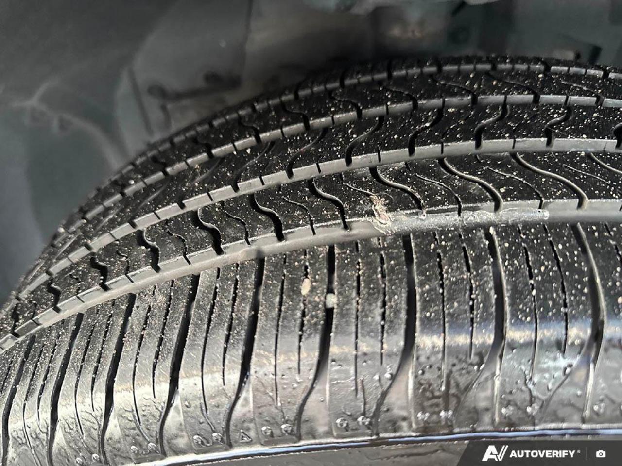 2024 Nissan Rogue SV Moonroof 4dr All-Wheel Drive Sport Utility Photo