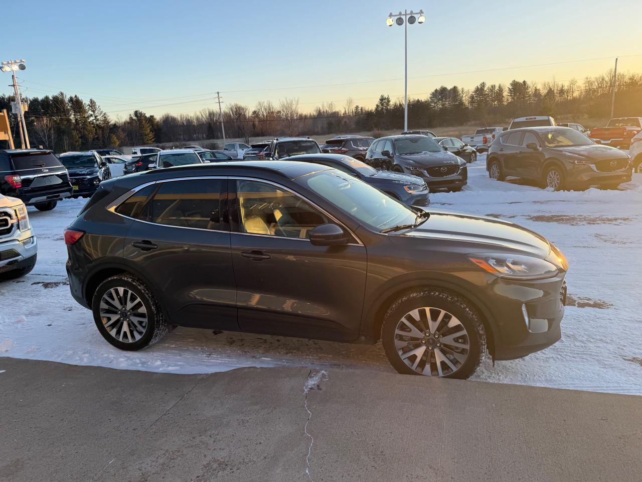 2020 Ford Escape Titanium Hybrid 4dr All-Wheel Drive Photo