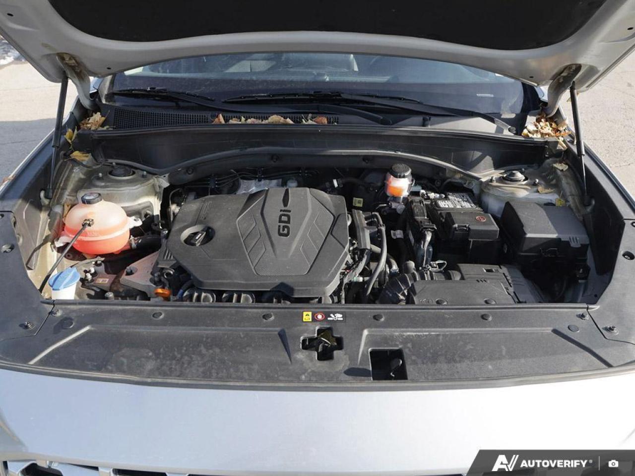 2022 Hyundai Santa Fe Preferred 4dr All-Wheel Drive Photo