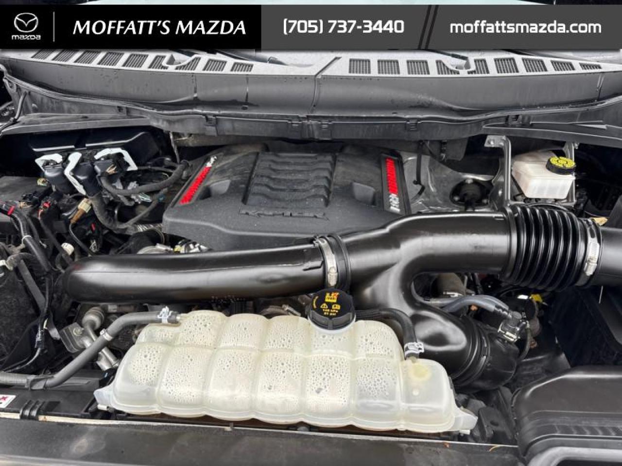 2023 Ford F-150 RAPTOR Photo