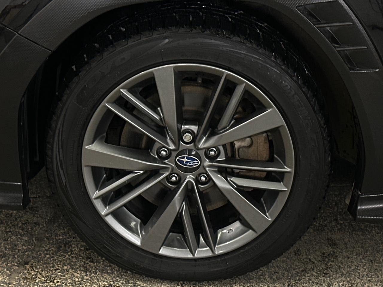 2023 Subaru WRX Base (M6) 4dr All-Wheel Drive Sedan Photo