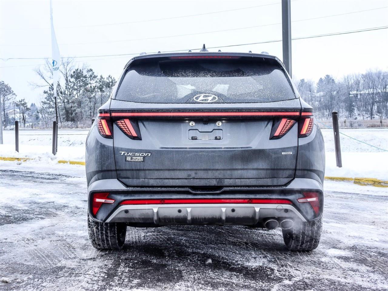 2023 Hyundai Tucson N Line 4dr All-Wheel Drive Photo3