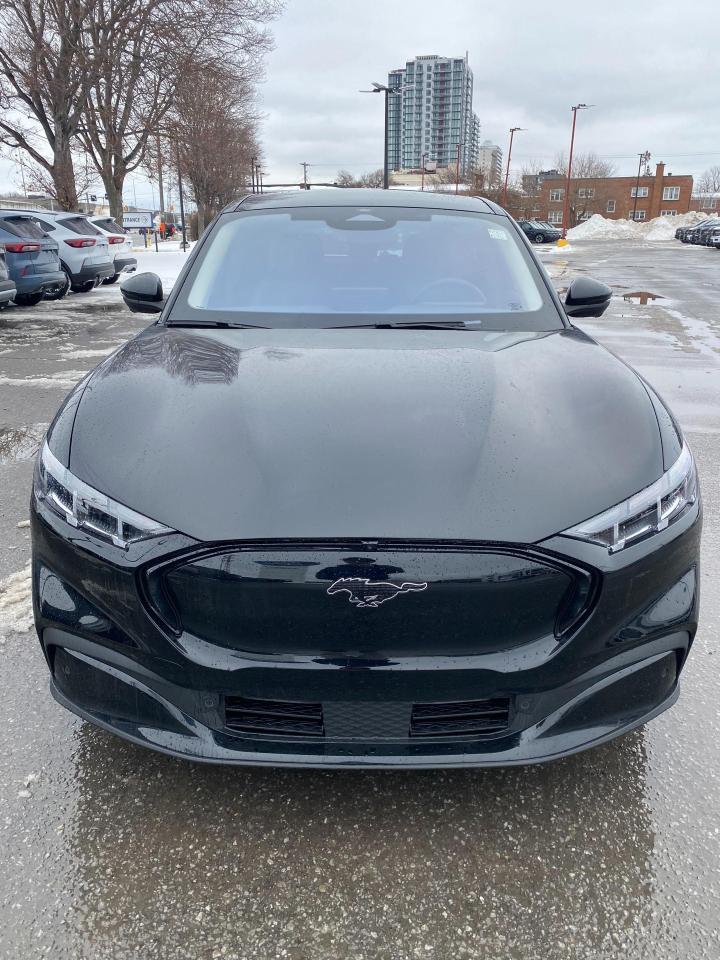 2025 Ford Mustang Mach-E Premium 4dr All-Wheel Drive Photo