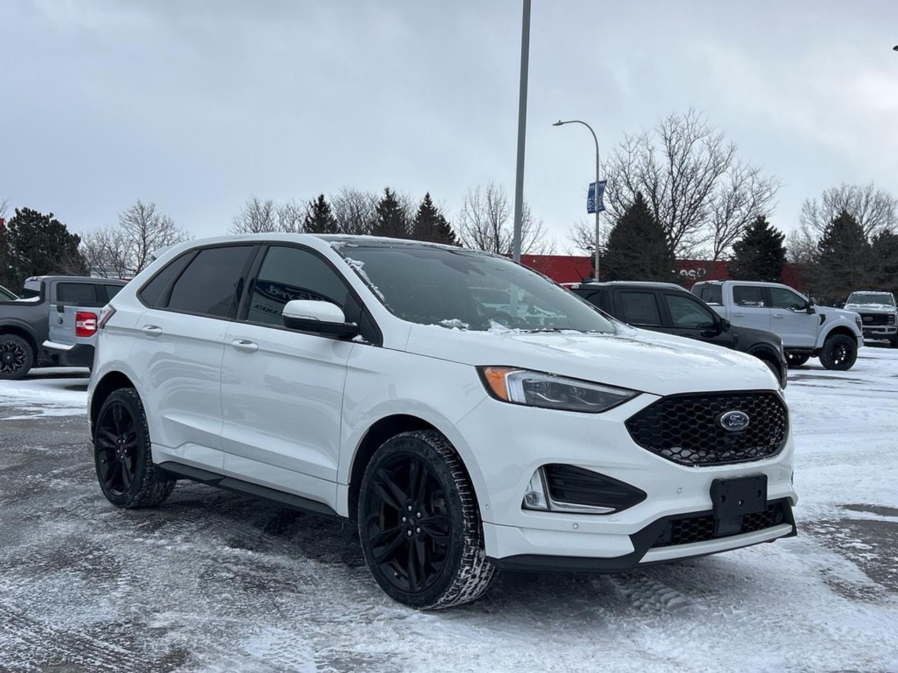 2024 Ford Edge ST 4dr All-Wheel Drive Photo