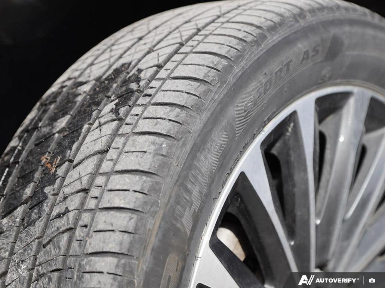 2023 Hyundai PALISADE  Photo