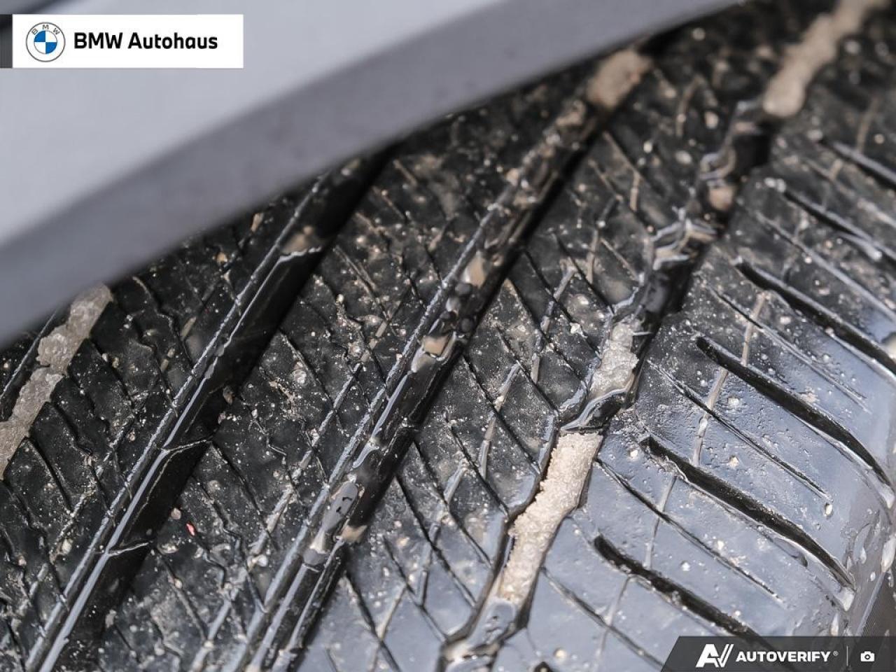 2024 BMW X5 xDrive40i Sports Activity Vehicle Photo