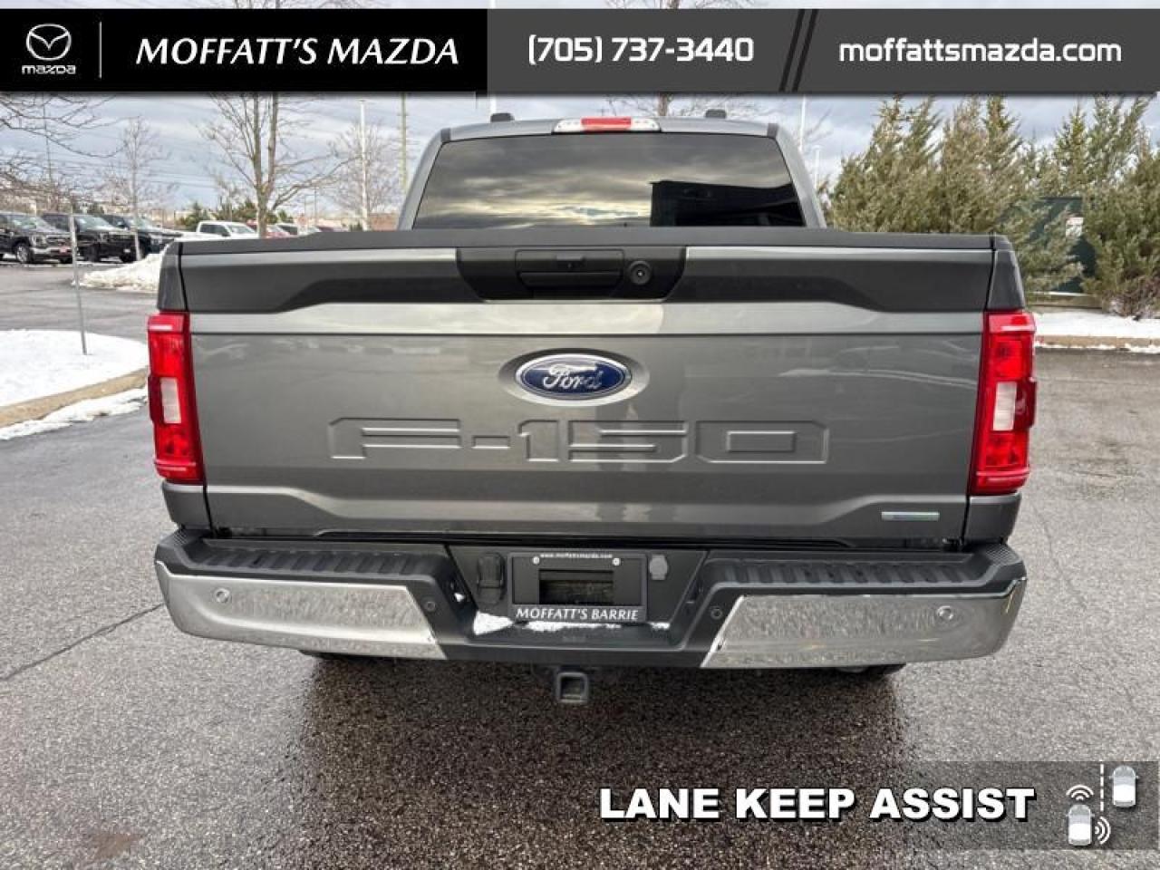 2023 Ford F-150 XLT Photo