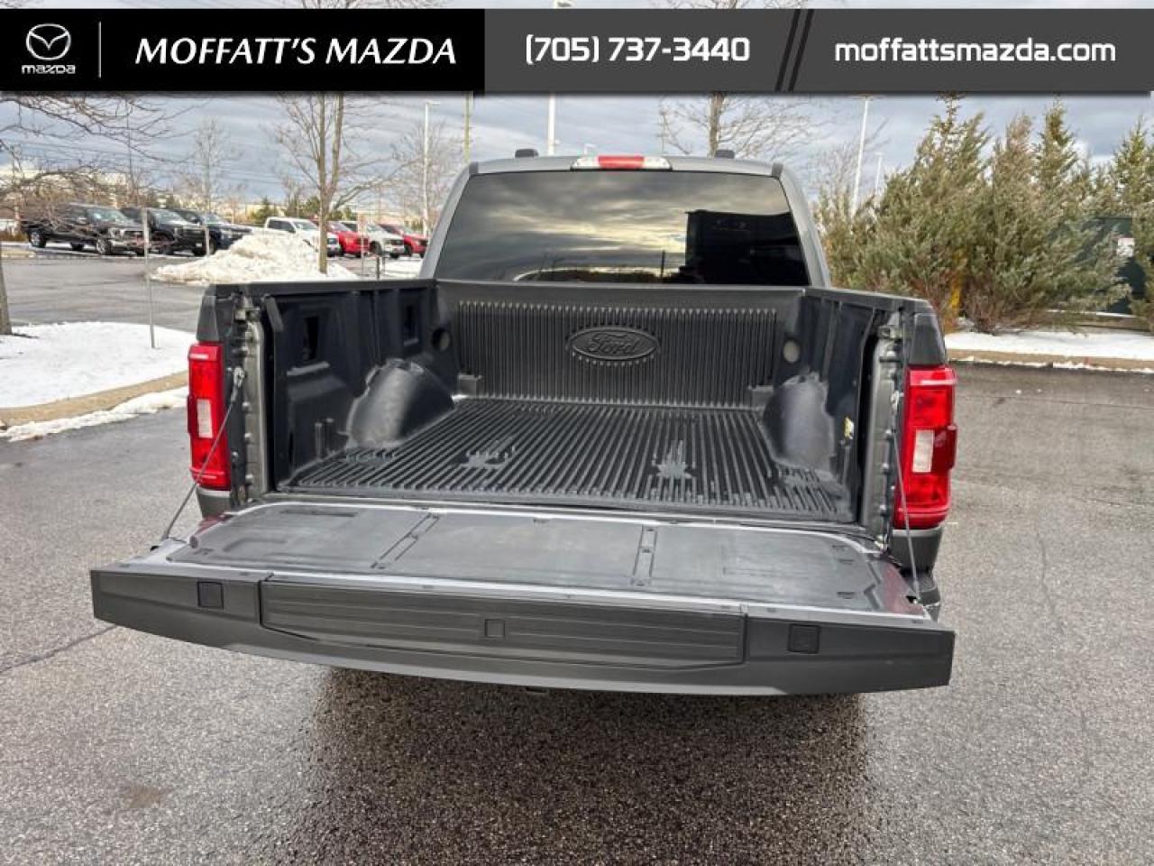 2023 Ford F-150 XLT Photo