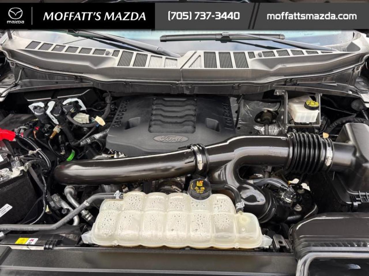 2023 Ford F-150 XLT Photo