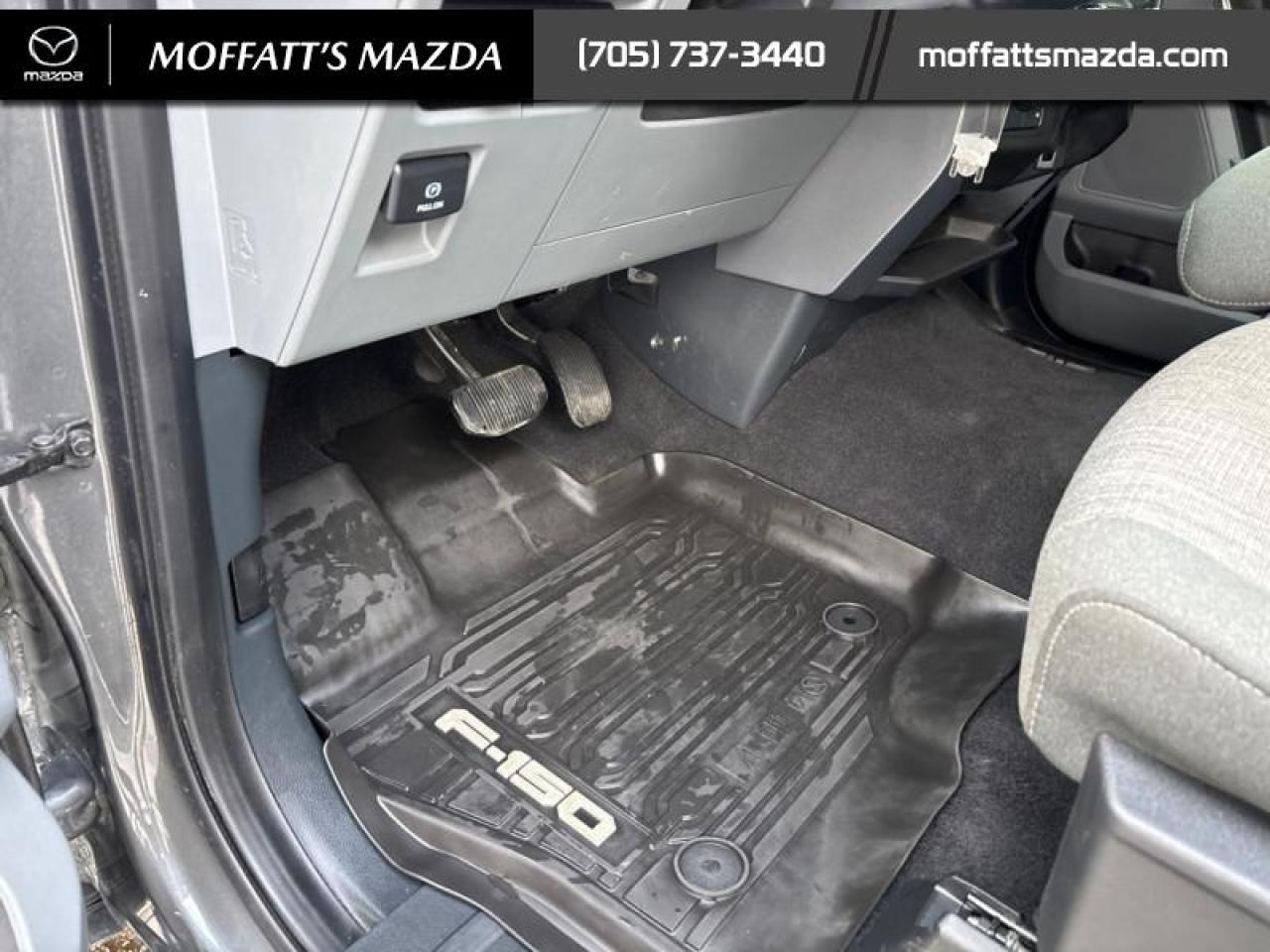 2023 Ford F-150 XLT Photo