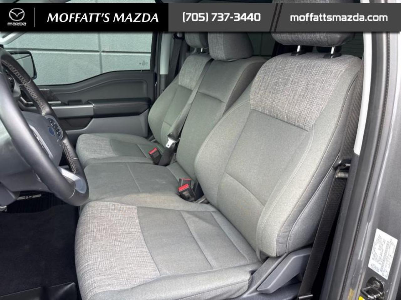 2023 Ford F-150 XLT Photo