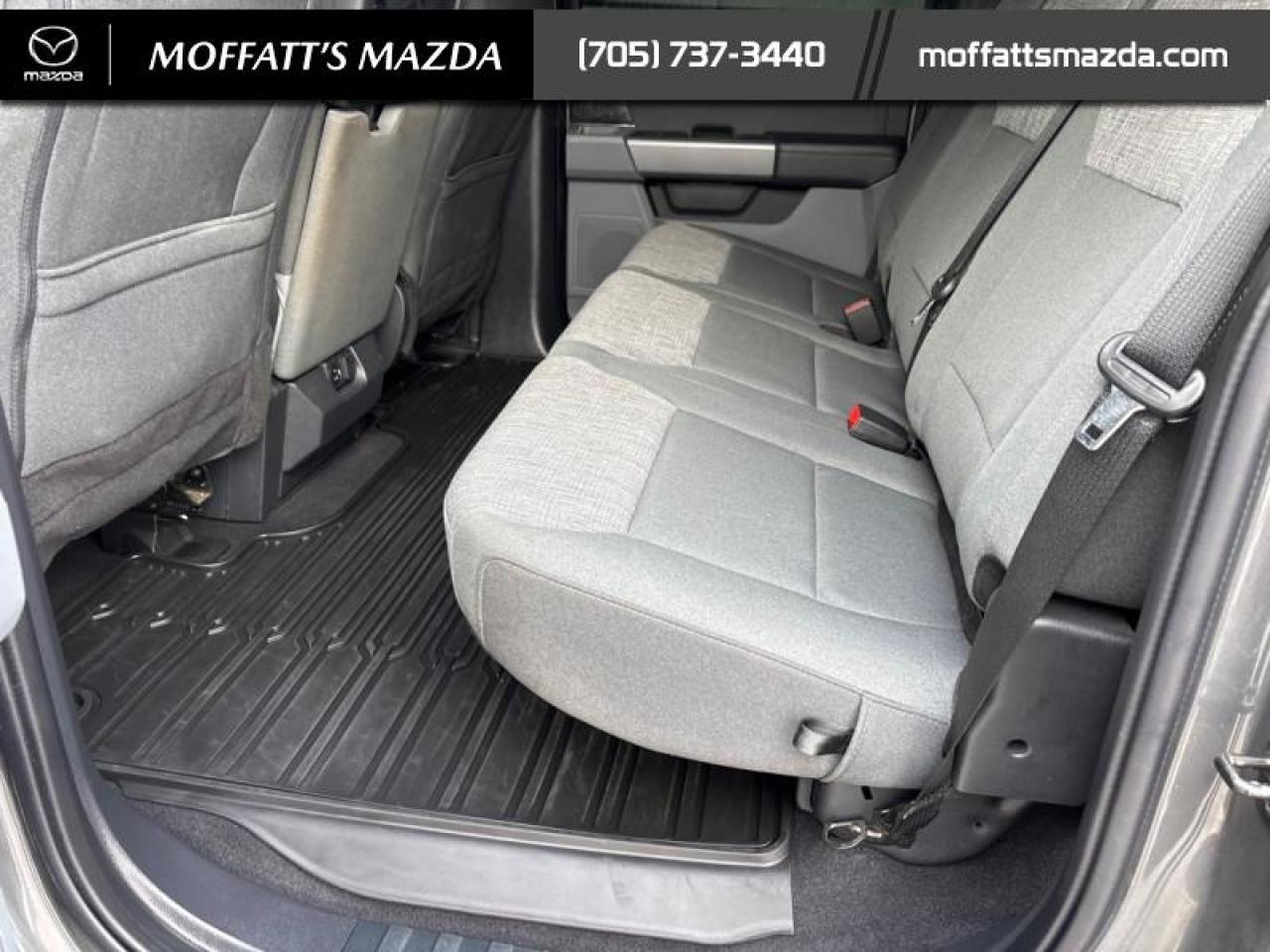 2023 Ford F-150 XLT Photo