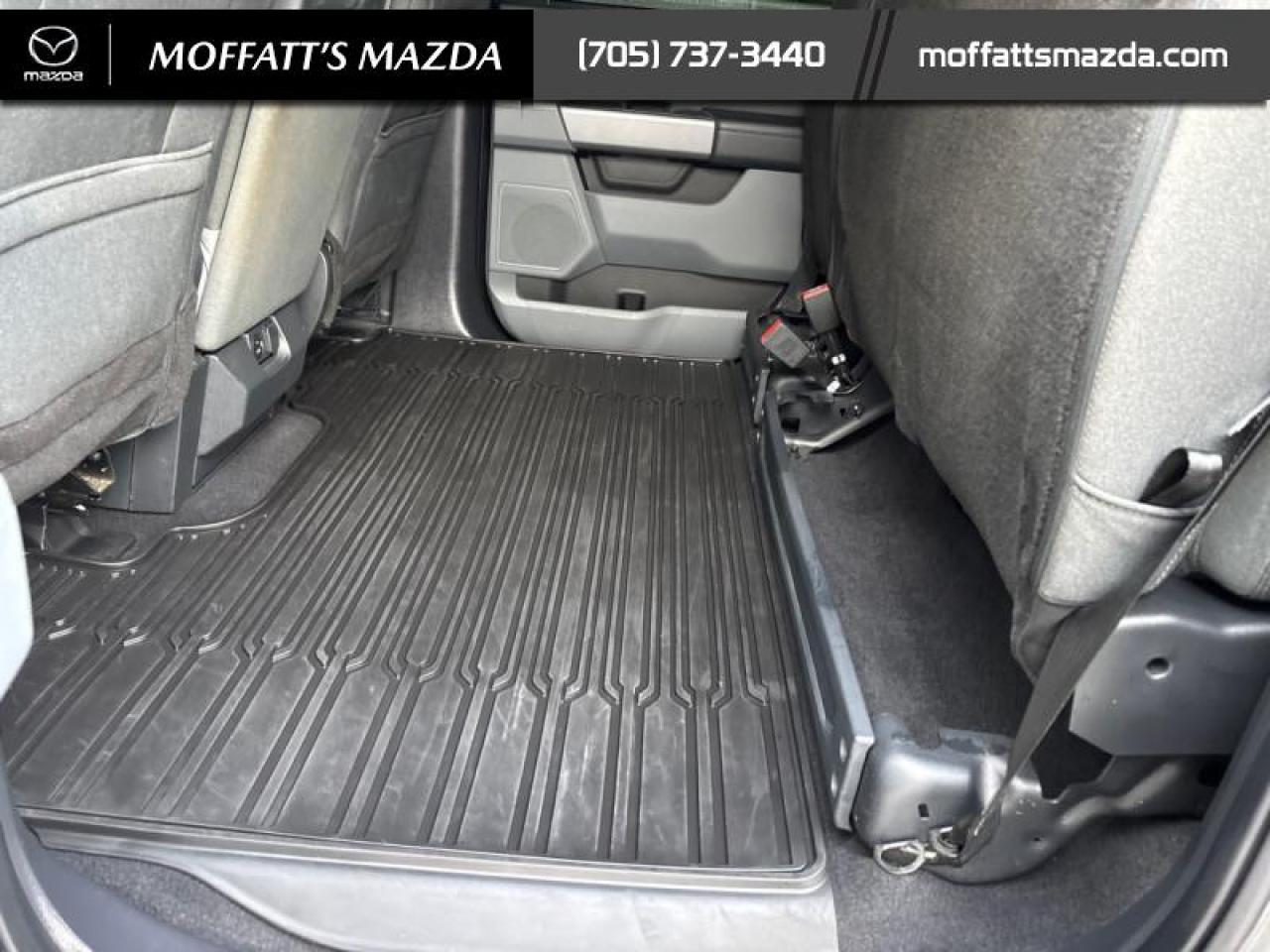 2023 Ford F-150 XLT Photo