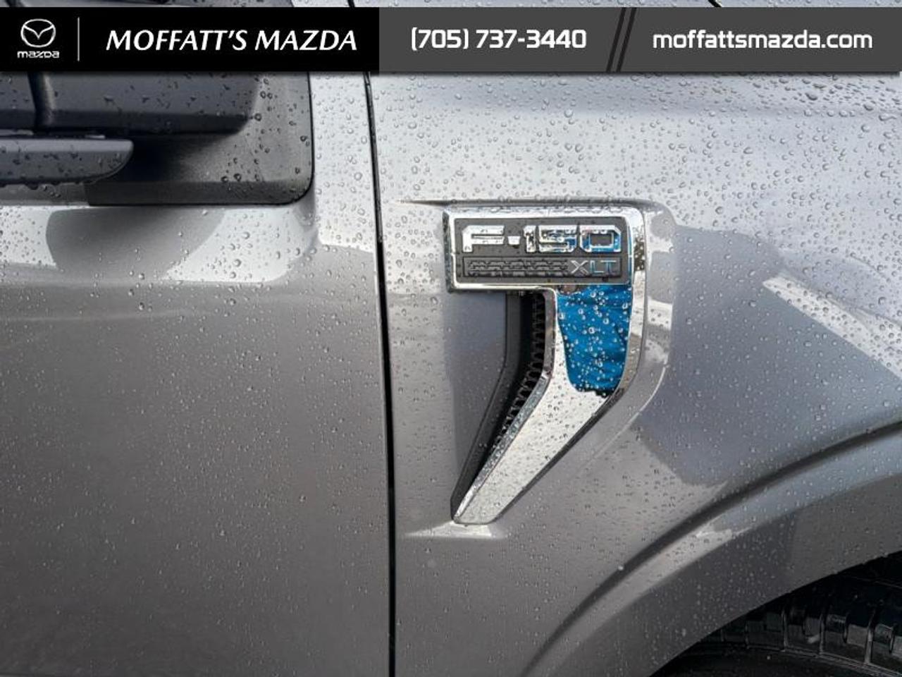 2023 Ford F-150 XLT Photo