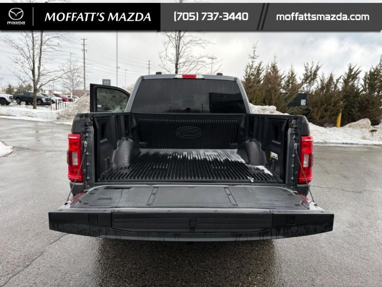 2023 Ford F-150 XLT Photo