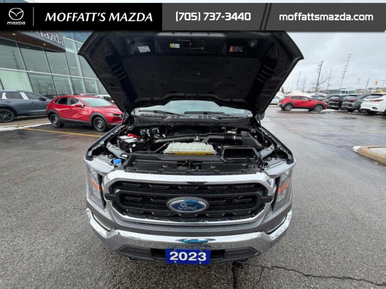 2023 Ford F-150 XLT Photo