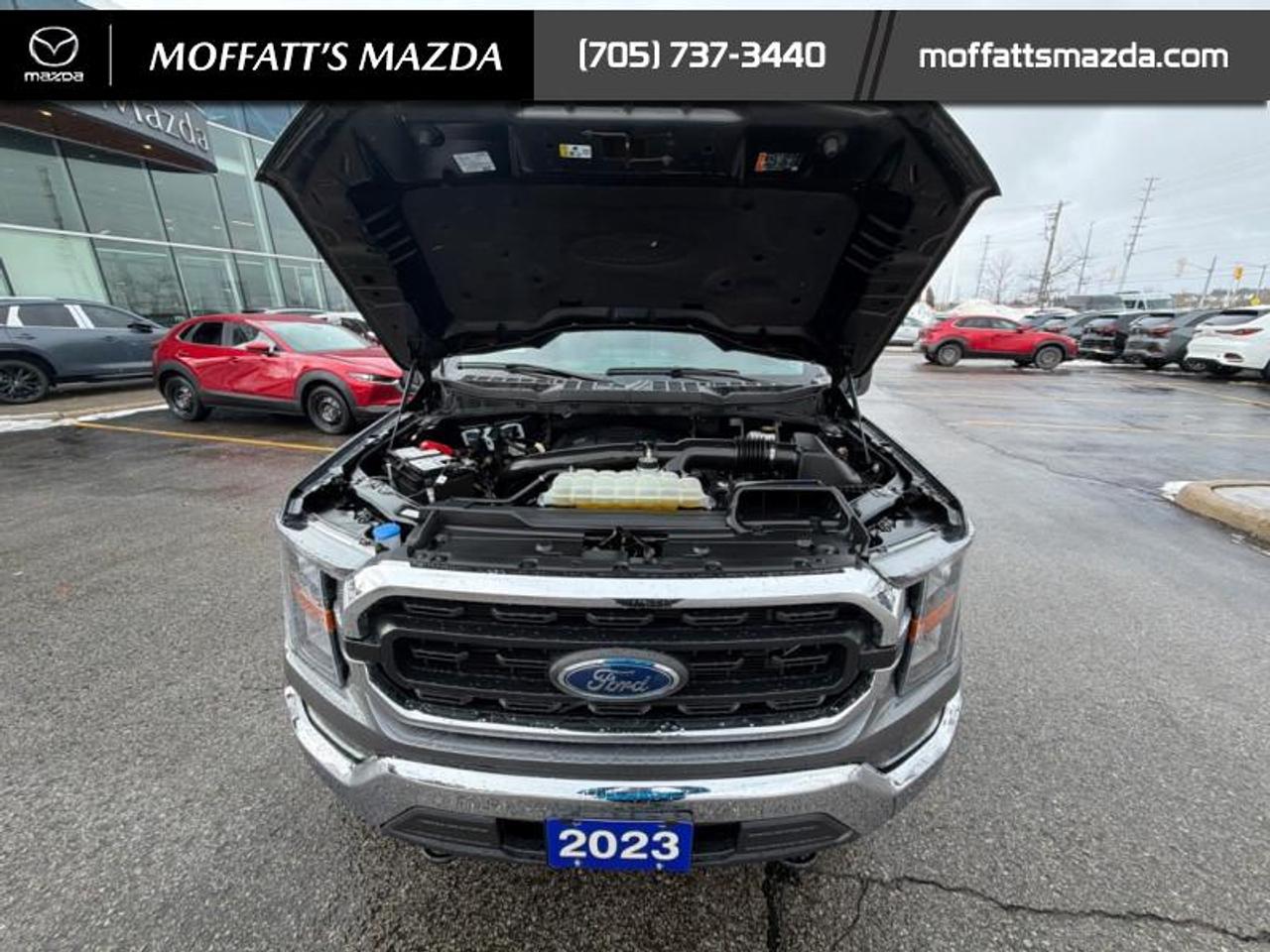 2023 Ford F-150 XLT Photo