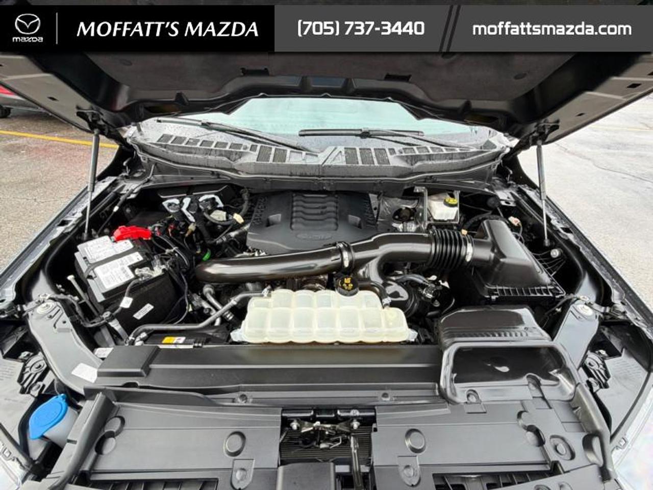 2023 Ford F-150 XLT Photo