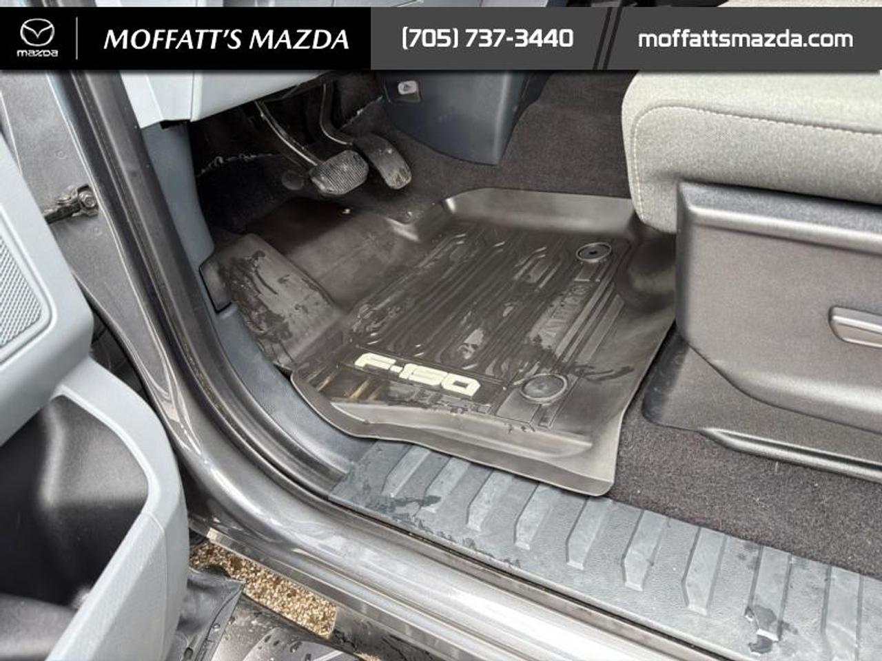 2023 Ford F-150 XLT Photo