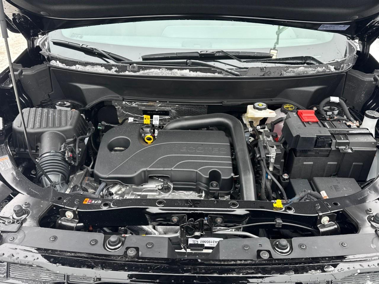 2026 GMC Terrain AWD Elevation Photo