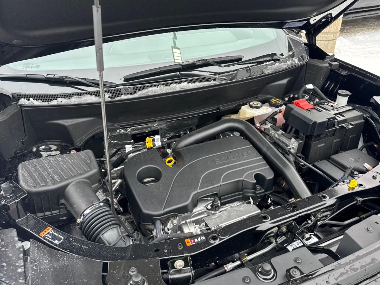 2026 GMC Terrain AWD Elevation Photo