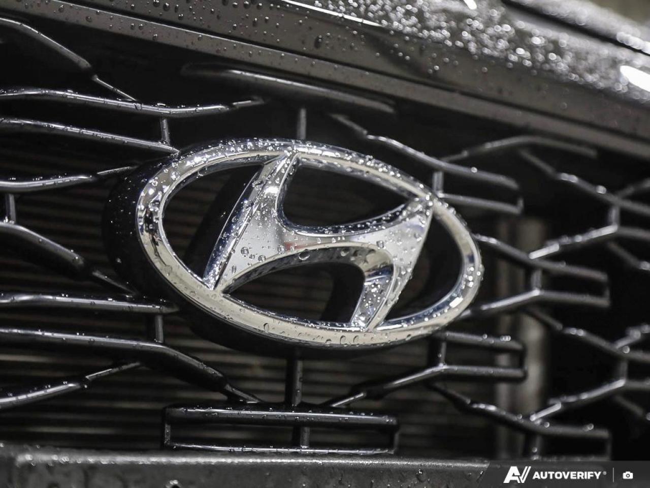 2023 Hyundai KONA 1.6T N Line w/Ultimate Package 4dr All-Wheel Drive Photo